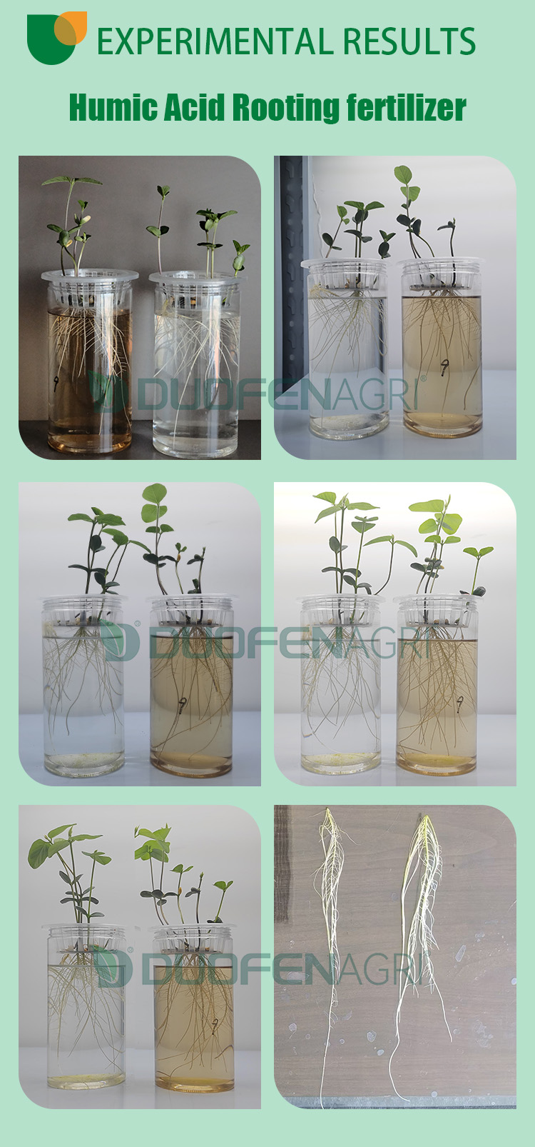 Liquid Humic Acid Organic NPK Fertilizer Manufacturer image 6