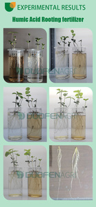 最高のセール植物肥料複合体アグロ腐植酸液体有機NPK肥料サプリメントメーカー - Product Image 6