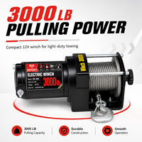 Treuil électrique léger pour usage léger 2000lbs/3000lbs/3500lbs, câble en acier de 6m/10m, télécommande sans fil pour ATV UTV, sauvetage tout-terrain