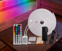 Bande lumineuse néon RGB 5 mètres, kit 12V en silicone avec contrôleur IR, alimentation et clips de fixation, certifiée CE RoHS pour la décoration intérieure