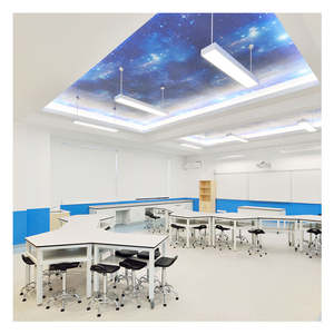 Laboratuvar mobilyası laboratuvar masaları okul kimya temiz oda denge tablosu özelleştirilmiş boyut laboratuvar masaları - Product Image 4