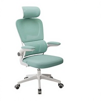 Chaises de bureau de direction de luxe en maille pour meubles ergonomiques adaptatifs à double dossier et soutien lombaire