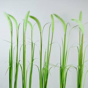 Venta al por mayor IP65 Clasificación <span class=keywords><strong>Solar</strong></span> Jardín Lámpara PVC <span class=keywords><strong>Exterior</strong></span> Reed Light con <span class=keywords><strong>LED</strong></span> Perro Cola Hierba Diseño - Product Image 2