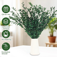 Liviflo Feuilles d'Eucalyptus Cinerea Naturelles Préservées, Feuilles Séchées 'Silver Dollar' avec Préservation à la Glycérine, pour Décoration Éternelle Maison et Mariage