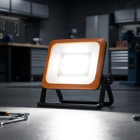Lampe de travail d'urgence rechargeable pour pannes de courant, entretien intérieur, vérification des greniers et sous-sols – Source de lumière de secours essentielle