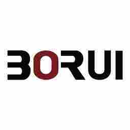 BORUI INTERNATIONAL GROUP LIMITED logo