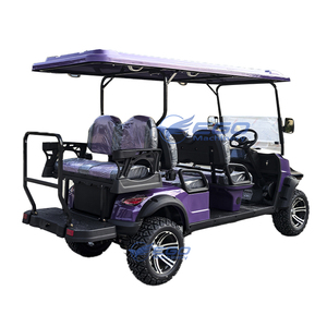 Voiturette de golf électrique de conception nouvelle, fabriquée en usine, avec système audio, luxueuse et moderne, pour 6 personnes, transport spécial - Product Image 2