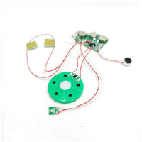 Module de puce sonore personnalisé en gros pour haut-parleur, carte de vœux, boîte à musique - Composants électroniques ABS écologiques