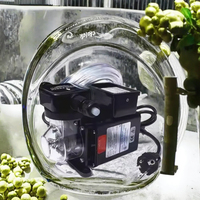 Automatischer Kunststoff-Chlorinator für Schwimmbäder Chemische Dosierpumpe Chlorzuführung