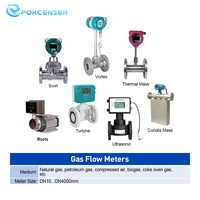 Medidor de Flujo Electromagnético de Aceite, Aire, Gas, Combustible y Agua, Ultrasónico, Coriolis, Térmico, por Radar, OEM, Alta Precisión, IP65-IP68
