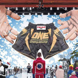 Pantalones de Entrenamiento de Muay Thai para Hombre y Mujer, Pantalones Cortos de MMA con Logotipo Frontal para Artes Marciales, Uniformes de Boxeo - Product Image 3