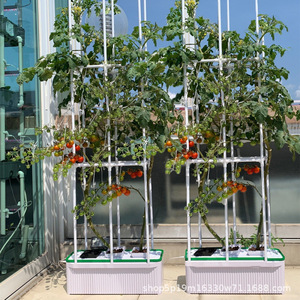 Máquina de Cultivo Hidropónico para Balcón, Cultivo sin Suelo de Frutas y Verduras, Ideal para Tomates y Pepinos, con Sistema de Ensetillado, Éxito de Ventas Transfronterizo - Product Image 5