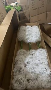 Tallo de Diente de León Ultra Realista y Esponjoso, Cabeza de <span class=keywords><strong>Semilla</strong></span> Artificial para Decoración Nórdica del Hogar, Centro de Mesa para Bodas y Accesorio Fotográfico - Product Image 6