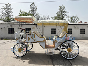 High Configuration Electric Sightseeing Horse Carriage Cart <b>Double</b>-row White Sightseeing Carriage Royal Wedding Horse Carriage - Product Image 6