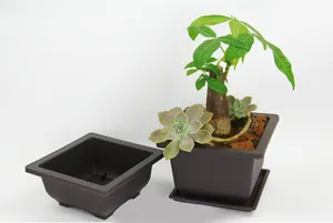 5 Stuks Set 13.1*13.1*10Cm 700Ml Vierkante Bonsai Pot Succulent Bloempot Plastic Bloempotten
