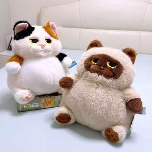 Ensemble de peluches <span class=keywords><strong>chat</strong></span> siamois mignonnes <span class=keywords><strong>Dodo</strong></span>, nouvelle peluche super douce en coton PP, cadeau d'anniversaire unisexe - Product Image 4