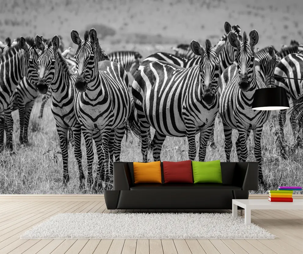 ZHIHAI hd zebra group grasslands lovely animals print modern fashion special design kids room 3d murale wallpaper