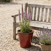 Pot de fleurs en céramique émaillée, écologique, durable, rouge bordeaux brillant, design à bord évasé, pour jardin intérieur et extérieur, avec trou de drainage