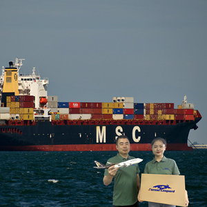ForestLeopard International Shipping Courier Logistics <strong>Service</strong> Sea Cargo LCL+Express DDP Door Delivery Shenzhen Japan Korea - Product Image 6