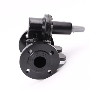 Flanschtyp-Gasdruckregelventil mit Manometer Industrieller Gasdruckminderer - Product Image 3