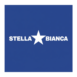 Tagliabicchieri HSS a stella bianca con scarico laterale. 36 036 t032 per router in legno per router in legno a stella bianca - Product Image 1