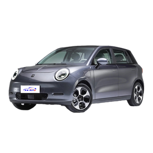 En Stock 330Km de alto rendimiento de nueva energía vehículo eléctrico puro para <span class=keywords><strong>Jac</strong></span> Ev3 gris Mini <span class=keywords><strong>Yiwei</strong></span> <span class=keywords><strong>3</strong></span> - Product Image 3
