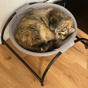 Cat Hammock Bed All Seasons Washable Breathable Pet Cradle Chair For Cat - Product Image 2