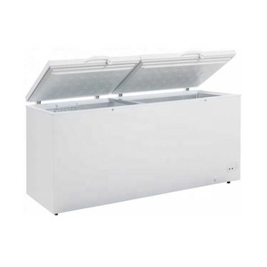 Congelador Horizontal de Dos Puertas con Tapa Superior a -25 Grados Celsius, Modelo DDC-600C - Product Image 1