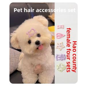 BB Nose Bridge Clip pour Poméranie <span class=keywords><strong>Mini</strong></span> Chiens Petit Chien Pince À Cheveux Frange Ornements Accessoires De Cheveux Pour Animaux De Compagnie - Product Image 3