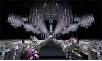 Chaîne de perles en verre transparent en acrylique pour rideau de plafond, idéale pour les décors de mariage et les entrées de maison (vente en gros)