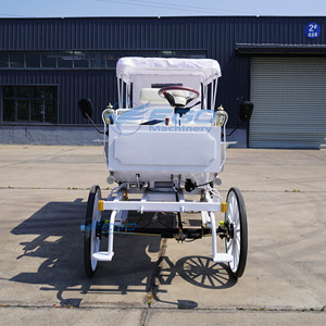 Carruaje Eléctrico de Alta Calidad, Estilo Europeo, para Turismo, Color Blanco Puro, en Venta - Product Image 2