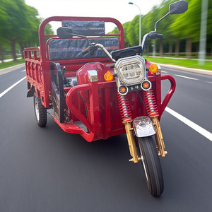 Nuovo Triciclo Elettrico 2026 da 1000W con Cassone Ribaltabile, <span class=keywords><strong>Bici</strong></span> <span class=keywords><strong>Cargo</strong></span> a 3 Ruote per Adulti, Tricicli Elettrici 60V in Vendita, Tricicli Agricoli a 3 Ruote con 2 Posti - Product Image 1