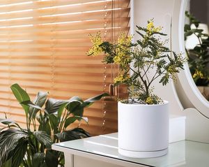 3 "4" 5 "Pots de fleurs en céramique <span class=keywords><strong>pour</strong></span> <span class=keywords><strong>plantes</strong></span> avec trou de drainage et soucoupe Jardinières d'extérieur <span class=keywords><strong>pour</strong></span> patio Pot de fleurs Plateau en <span class=keywords><strong>bois</strong></span> de bambou - Product Image 5