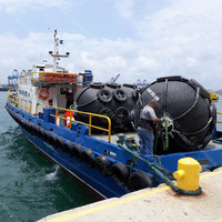 Defensa Neumática de Goma para Muelle Marino, Estándar ISO17357, D3.3L6.5m