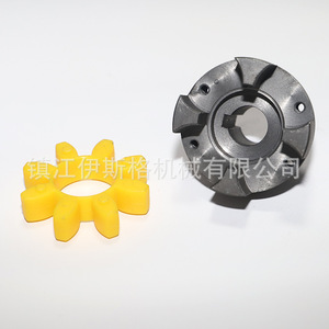 Accouplement flexible Isge Shaft Coupling 60-160 100 Nm pour presse d'impression et pompe à vide - Product Image 4