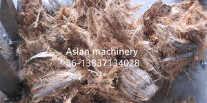 Máquina para Remover la Cáscara de Fibra de Coco Vieja/Máquina Semiautomática para Desgranar Coco Viejo - Product Image 6