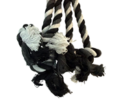 Jouets en peluche en forme de calmar avec cordes en coton pour chiens - Soulagement de l'anxiété et design mignon interactif pour une utilisation en intérieur/extérieur