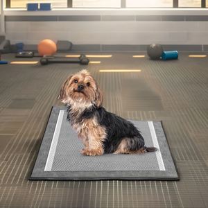 Échantillons Gratuits de Tapis d'Entraînement pour Chiots Dogfactory – Vente en Gros de Tapis Absorbants Jetables en Bambou, Désodorisants et Aromatiques, Doux - Product Image 3