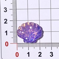 Seri Simulasi Laut DIY Cangkang Bintang Laut Casing Ponsel Aksesoris Rambut Bunga Sepatu Gantungan Kunci Liontin Kalung Anting Resin