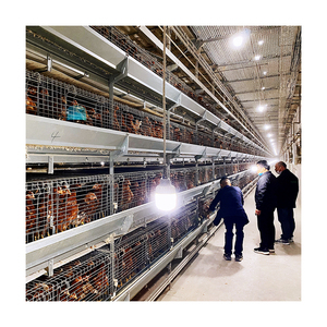 Satılık tavuk çiftliği ekipmanları için yüksek kaliteli hayvan kafesi Pullet tabakası tavuk kafesi - Product Image 4