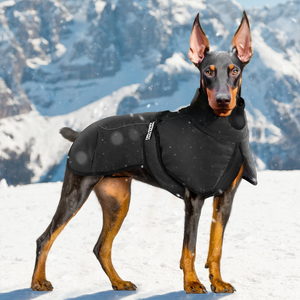 Abrigo de algodón para perros grandes de otoño e invierno, chaqueta cálida reflectante para perros, abrigo de algodón impermeable y a prueba de viento para mascotas <span class=keywords><strong>Doberman</strong></span> - Product Image 5
