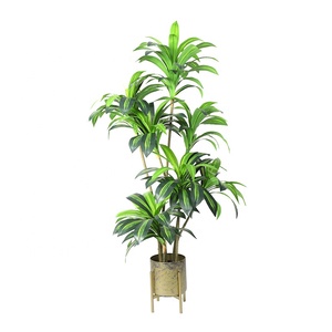 OH ARTS 170cm Faux Dracaena <span class=keywords><strong>Anita</strong></span> plantas pequeñas artificiales Faux Pot Plant para interior Bonsai Tree Garden Supplies Decoración - Product Image 6