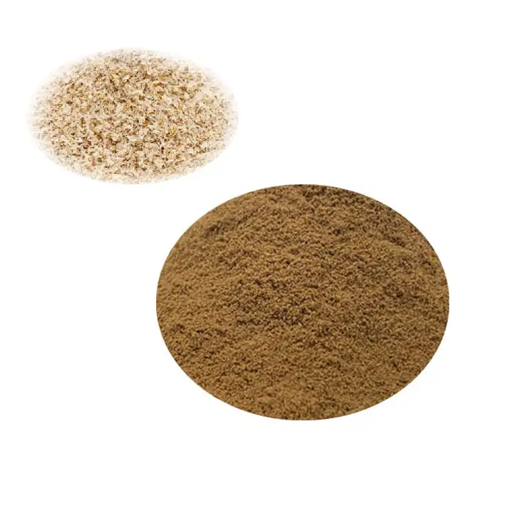 מפעל אספקת פסיליום זרע אבקה בתפזורת קליפה פסיליום Isabgol במחיר הטוב ביותר