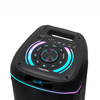 Altavoz Karaoke Inalámbrico NDR-820 de 8 Pulgadas con Bluetooth, Micrófono, Luces RGB Portátiles, Subwoofer 3D con Bajos Potentes, Ideal para Fiestas