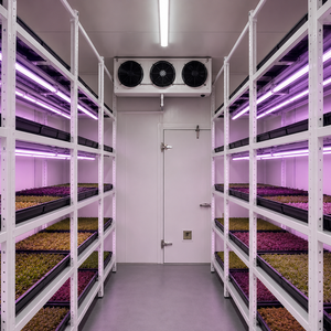 Sistema de riego automático multinivel para bandejas de cultivo con temporizador, iluminación, ventilación pasiva y contenedor aislado para azafrán. - Product Image 3