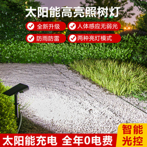 Lámpara Solar para Camino de Jardín de 40 cm, IP65, Impermeable, LED, para Exteriores, para Iluminación de Jardín y Paisaje - Product Image 3