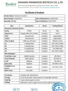 Rainwood tedarik 95% 98% Curcumin takviyesi Tumeric kurkumin tozu - Product Image 2
