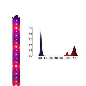 30W UV IR dimmerabile LED Grow per luce pieno spettro Indoor complemento ultimo del giardiniere per la catena di margherita compatibile per - Product Image 4
