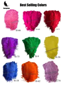 Feathers Cheap Direct Factory Supply 55-60cm Cheap Ostrich Feather Large Ostrich Wing Plumes Wedding Ostrich Feathers For Party Supply