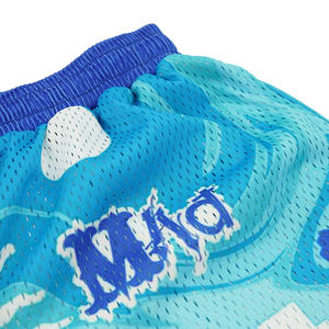 Short en maille de basket-ball de gymnastique blanc lourd en gros, short en maille de spandex de polyester de sublimation personnalisé - Product Image 3